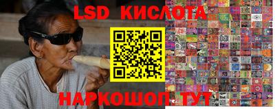 прущие грибы Кунгур