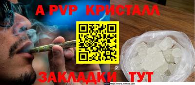 прущие грибы Кунгур
