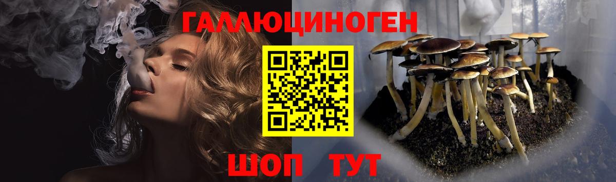 Псилоцибиновые грибы Magic Shrooms Златоуст